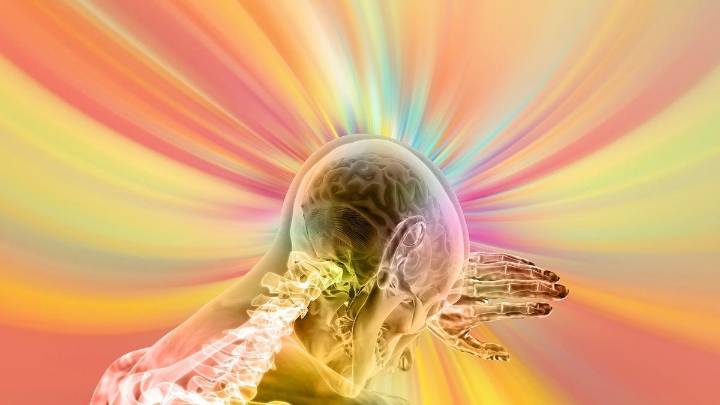 Los cambios climáticos podrían reducir el tamaño del cerebro humano