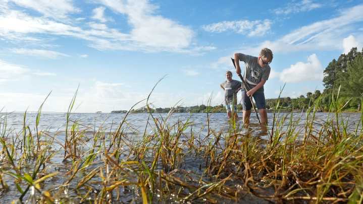 Indian River Lagoon generates $28.3 billion in economic impact