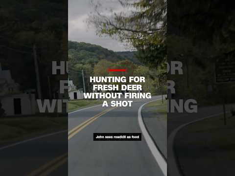 Hunting for fresh deer without firing a shot
