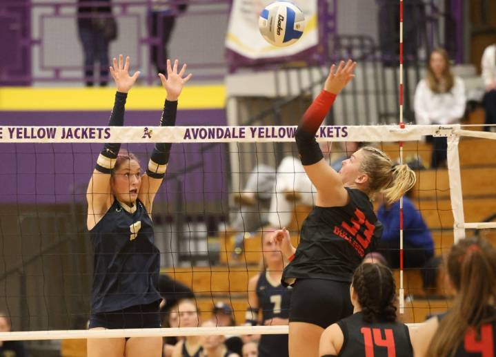 Romeo claws past Stoney Creek in five-set district semifinal