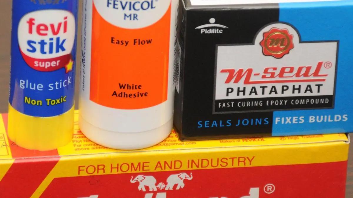 Pidlite expects to deliver double-digit volume growth in H2 with higher EBITDA