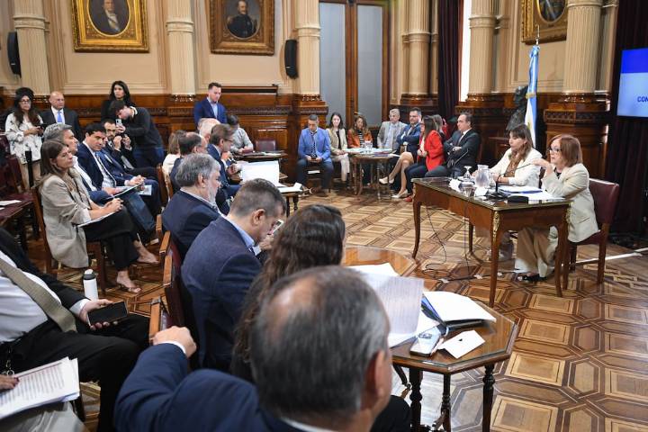 Cruce de impugnaciones en el Senado: LLA busca bloquear las asunciones de dos senadores K en respuesta a la ofensiva sobre Villaverde