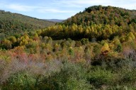 Missing West Virginia coal miner found dead, governor says
