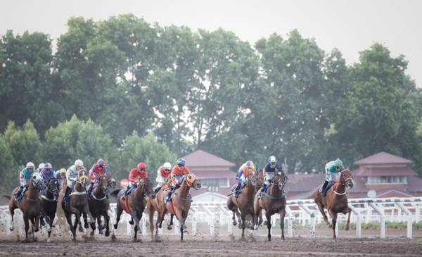 The Gladiator's Hat ganó el Gran Premio Dardo Rocha en el Hipódromo de La Plata