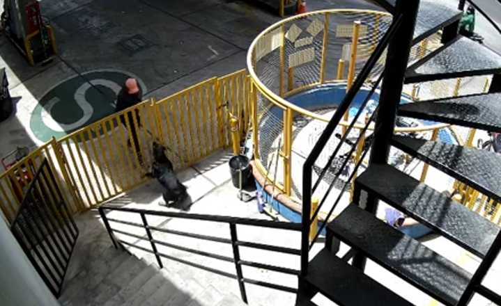 Arequipa: rottweiler frustra asalto a grifo y hace huir a delincuentes