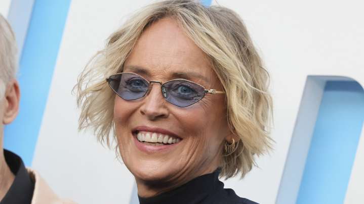 The Tragic Truth About Sharon Stone's Health Issues