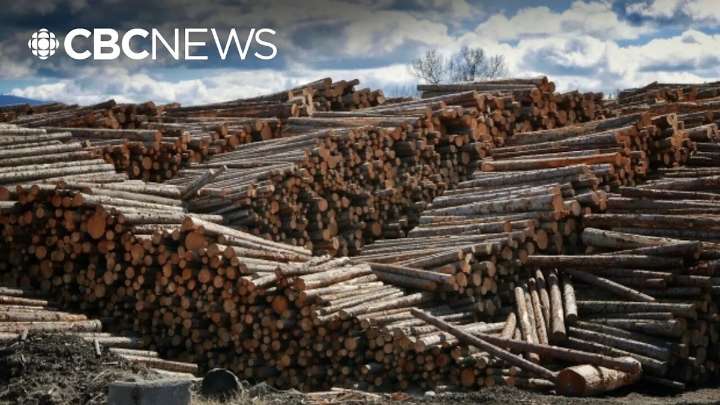 Mill closure in 100 Mile House 'a devastating blow,' says local MLA