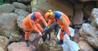 Perrito herido fue rescatado tras estar atrapado durante días en una cueva profunda en Piedecuesta