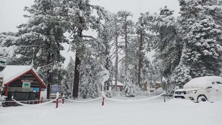 ¿Nieve y frío extremo? Estos estados serán afectados por la Primera Tormenta Invernal 2025