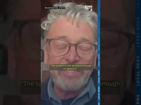 Why did BP's detection system fail to identify the pipeline leak promptly?