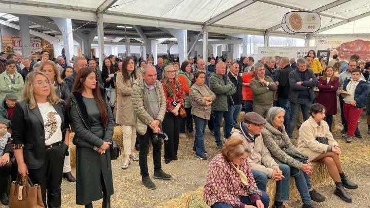 Tineo: chosco ("noble y versátil"), fiesta y éxito