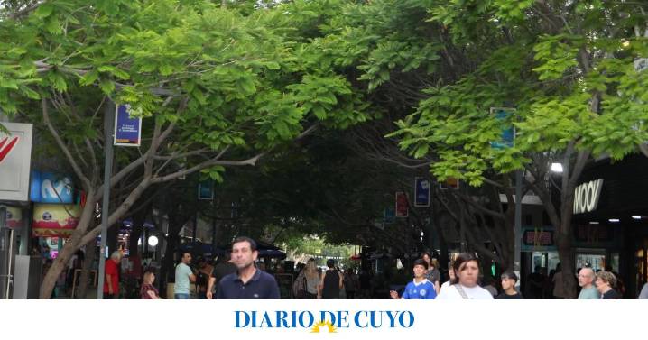 Rituales del Feng Shui para iniciar diciembre