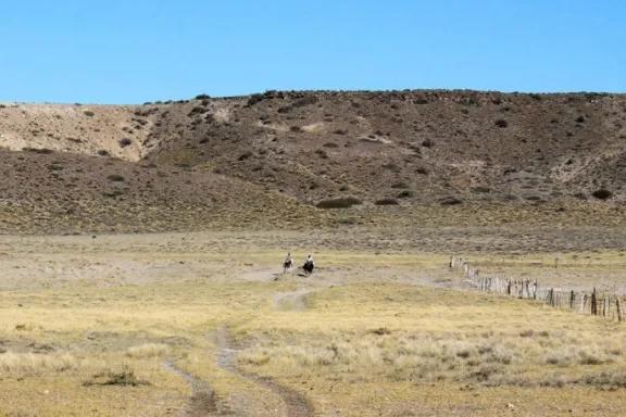 Neuquén pidió a Nación la declaración de emergencia agropecuaria por sequía