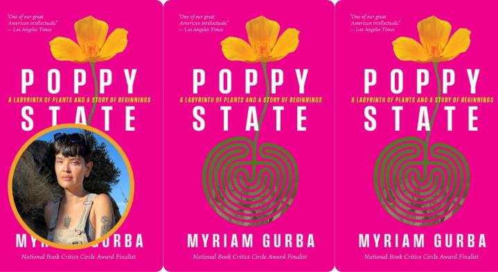 Myriam Gurba’s mall crush introduced her to a favorite book