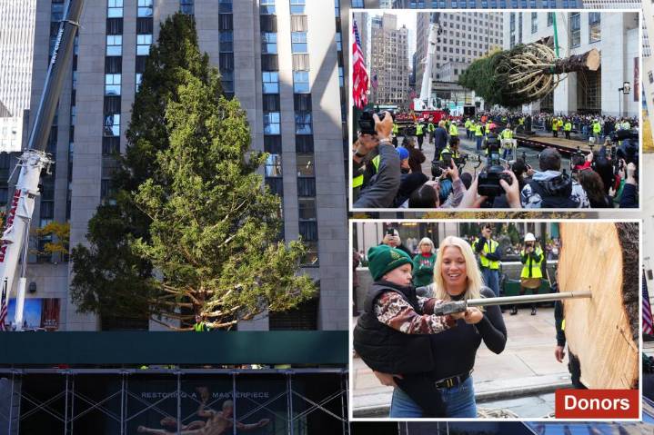 Rockefeller Center Christmas tree lifted into place in NYC as crowd looks on: 'It's surreal'