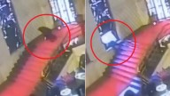 Un político italiano tropieza en una escalera y atraviesa una vidriera en un palacio en Roma