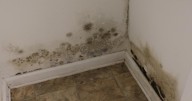Mold causes hidden health crisis as extreme weather risk grows