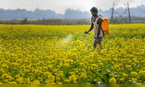 From UP to Jharkhand | Top 10 states with most farmers