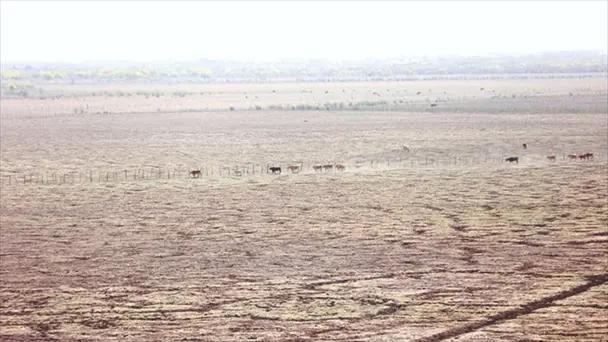 Sonora registra 15 municipios en condiciones de sequía