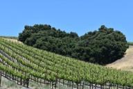 The best places to retire in America? Try this wine