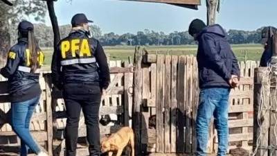 Golpearon a un hombre y le robaron $150.000, buscan a una banda que actuó con camperas de la PFA