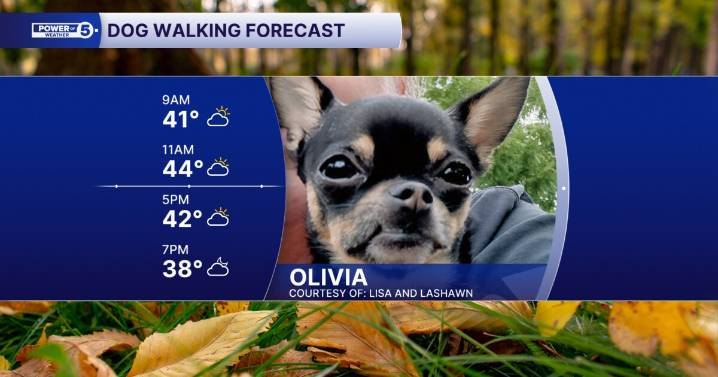 Drying out just in time for the weekend and dog walks!