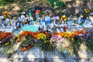 Caso crematorio “Casa Xibalbá”: Incinerarán 100 mascotas no reconocidas por sus dueños