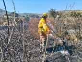 Sierra de Tepotzotlán presenta el primer incendio de la temporada