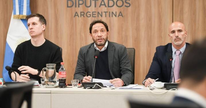 La comisión que investiga el caso Libra cierra su informe y apunta al rol del Gobierno en el escándalo