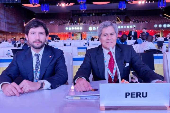 Perú participó en la Segunda Cumbre Mundial sobre Desarrollo Social de las Naciones Unidas