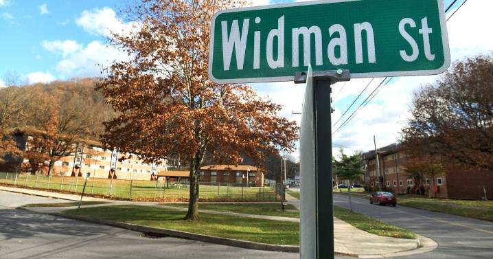 Council OKs three-year deal for Johnstown police to cover JHA properties