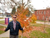 Stratford school board trustee resigns