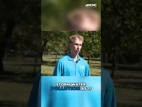 How trees are being used to help protect Charlotte's waterways