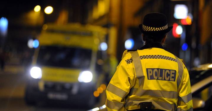 Man 'stabbed' in 'distressing' Bristol incident
