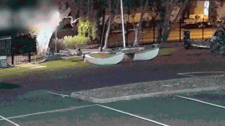 Stolen trailer appeal, Manly