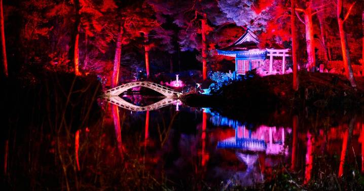 I’ve been to dozens of north west Christmas events - this is my favourite by far