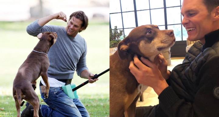 Tom Brady revela que su perro actual es un clon del que murió en 2023
