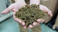 Is weed legal in Florida? What about hemp, THC?
