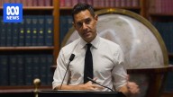 Alex Greenwich moves to fast track medicinal cannabis driving reforms in NSW