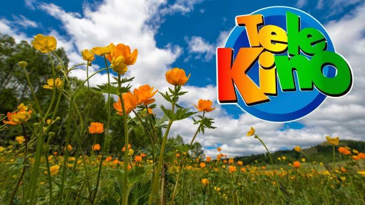 Telekino: resultados del sorteo 2402 del domingo 16 de noviembre