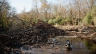 SCDNR, volunteers remove 'significant' log jam from Lynches River