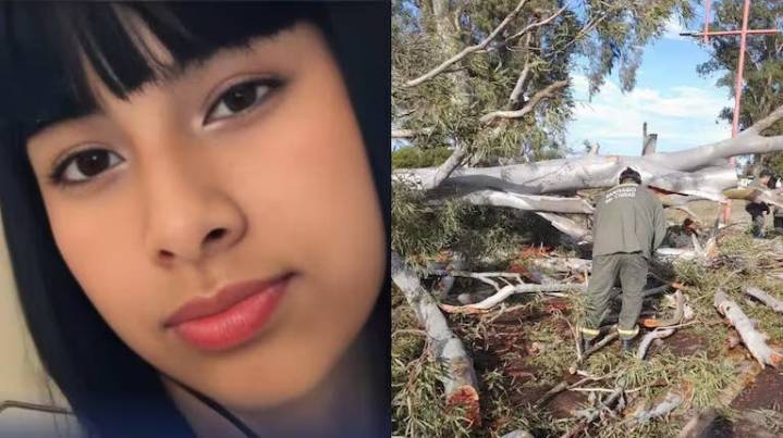 Santiago: una adolescente de 16 años murió aplastada por un árbol durante una fuerte tormenta
