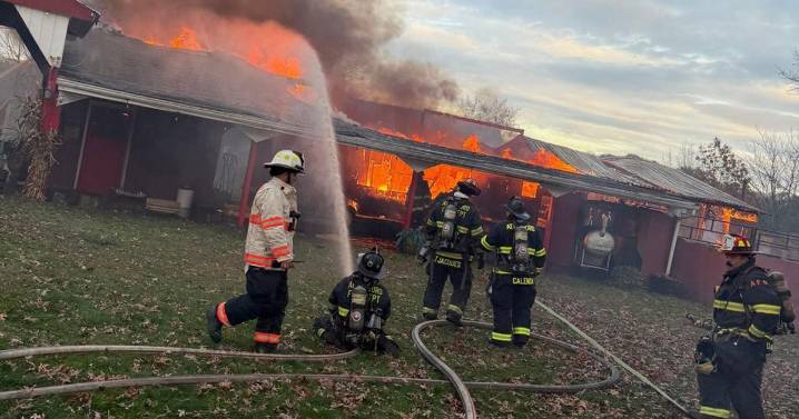 Horse dies after barn fire in Attleboro, multiple animals rescued