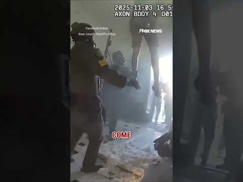 Man hiding in attic falls into SWAT’s arms after alleged truck theft #foxnews #news #shorts