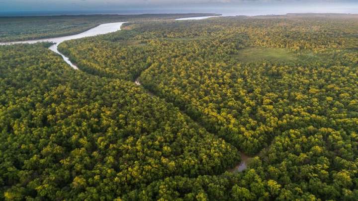 COP30: el tiempo de la Amazonía
