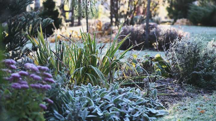 Design A Beautiful Garden That Looks Equally Stunning In Winter Weather