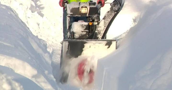 Man out snowblowing killed by falling tree near Two Harbors, sheriff says