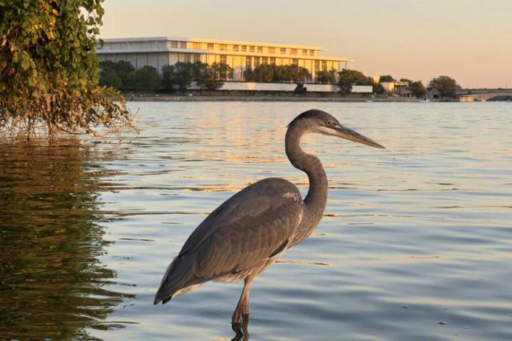 DC Water announces second source of drinking water for vulnerable Potomac River
