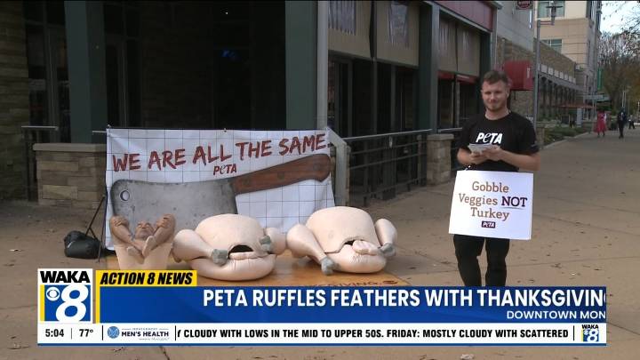 PETA ruffles feathers with Thanksgiving protest