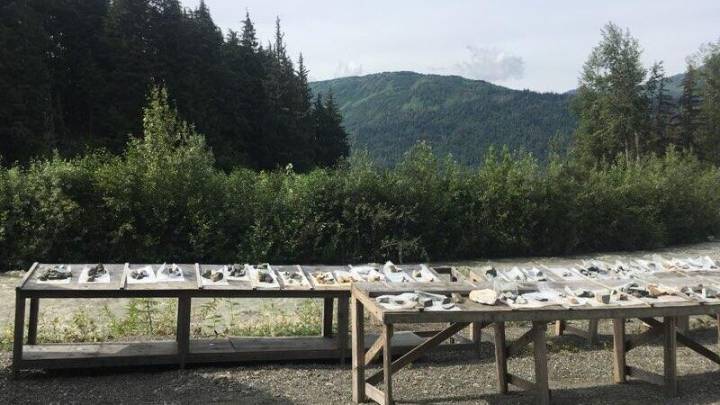 This mineral exploration site near Haines has had 3 owners in the last year. Is that normal?